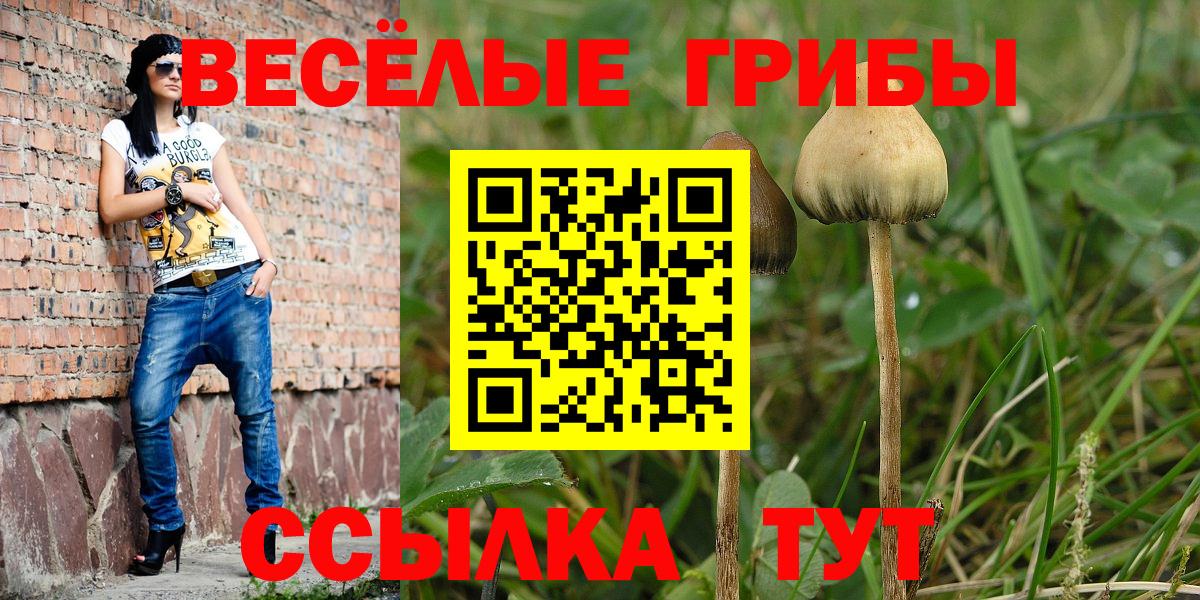 Кубинка  Псилоцибиновые грибы Cubensis  Вход с VPN 